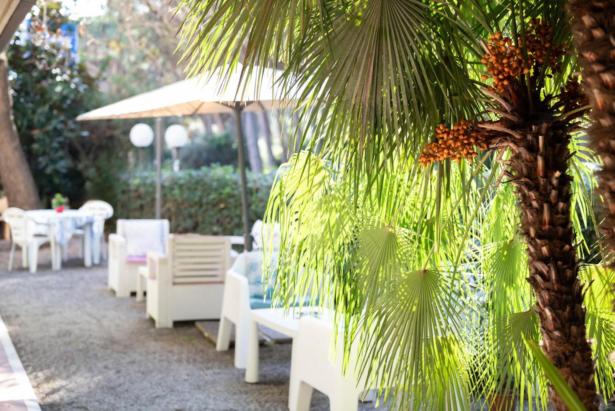Hotel Parco Dei Pini - 100Mt Dal Mare ฟอลลอนนีกา ภายนอก รูปภาพ