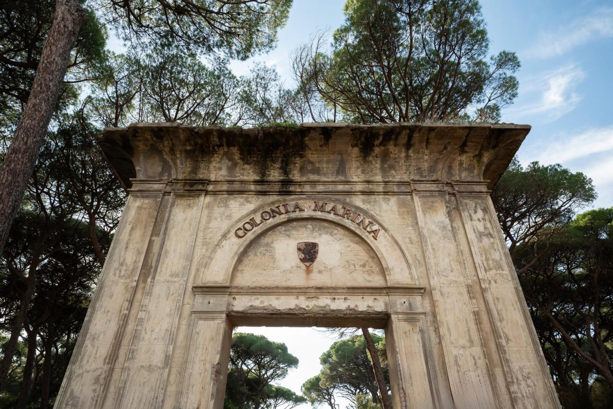 Hotel Parco Dei Pini - 100Mt Dal Mare ฟอลลอนนีกา ภายนอก รูปภาพ